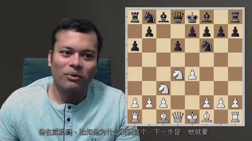 终身棋谱:苏里亚的1.e4开局体系详解(第一部分) (中文