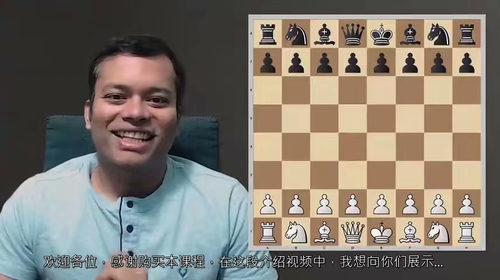 终身棋谱：苏里亚的1.e4开局体系详解（第一部分）  (中文