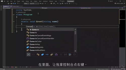 C#就业实战视频教程