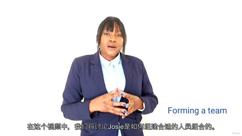 [中字] 银行项目管理入门实战（中文字幕英文视频教程）