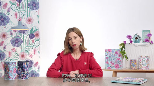 [中字] 产品图案数字插画设计课程（中文字幕英文视频教程）