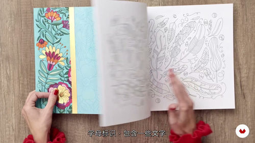 [中字] 产品图案数字插画设计课程（中文字幕英文视频教程）