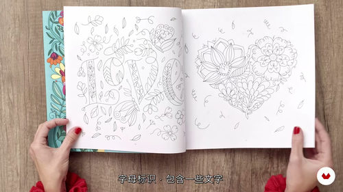 [中字] 产品图案数字插画设计课程（中文字幕英文视频教程）