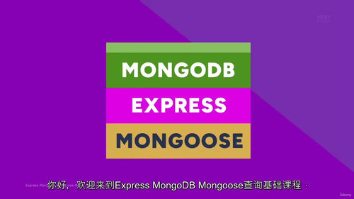 Express MongoDB Mongoose 数据库查询