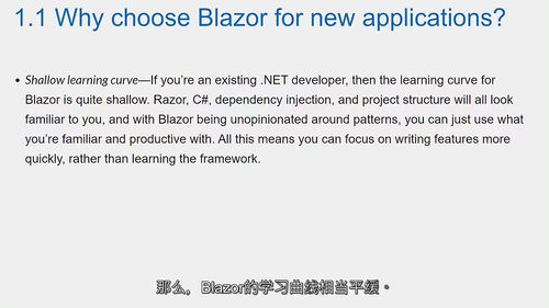 [中字] Blazor 实战：现代 Web UI 开发视频教