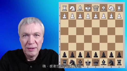 尚多尔夫国际象棋开局体系