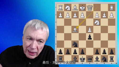 尚多尔夫国际象棋开局体系