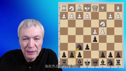 尚多尔夫国际象棋开局体系