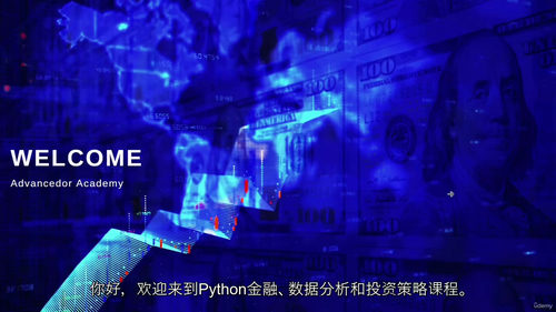[中字] Python 金融实战：数据分析与投资策略（中文字