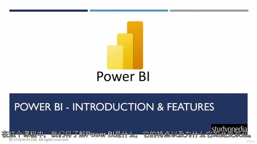[中字] Power BI 新手入门实战教程（中文字幕英文视