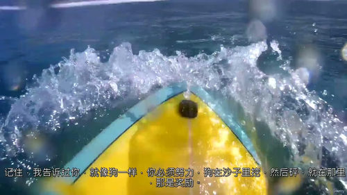 [中字] 冲浪入门：从基础到实战（中文字幕英文视频教程）