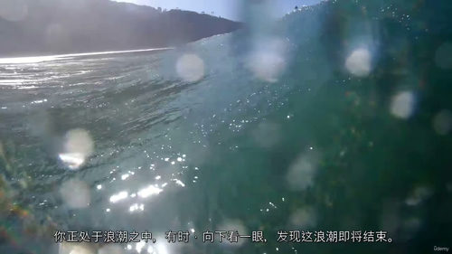 [中字] 冲浪入门：从基础到实战（中文字幕英文视频教程）