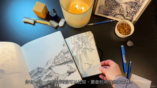 [中字] 钢笔墨水绘画大师研究：加速你的绘画学习之旅（中文字