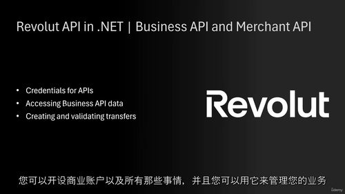 [中字] .Net 环境下 Revolut API 实战：商