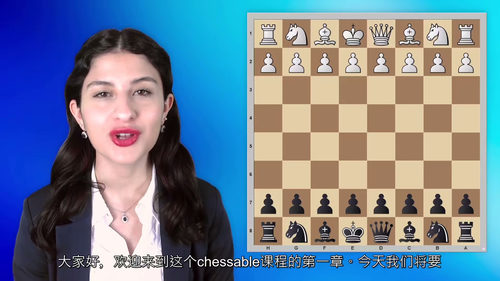[中字] 我的西西里秘籍：西西里人的西西里防御（中文字幕英文