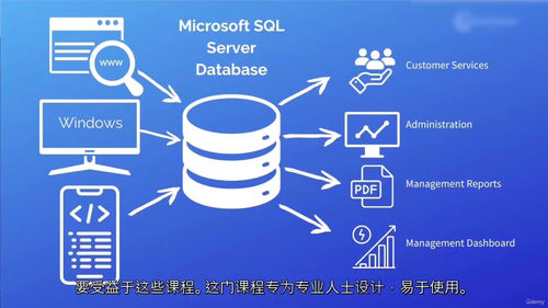 [中字] SQL 数据分析从入门到精通（中文字幕英文视频教程