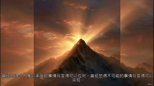 [中字] 领导者批判性思维：韧性与清晰度培养（中文字幕英文视