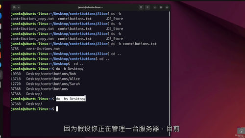 [中字] 两天精通 Linux：职场人高效实战指南（中文字幕