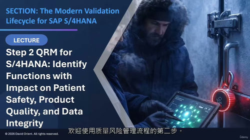 现代SAP S 4HANA验证蓝图 (英文视频中文外挂字幕教