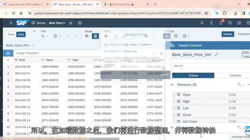 [中字] SAP Analytics Cloud（SAC）仪