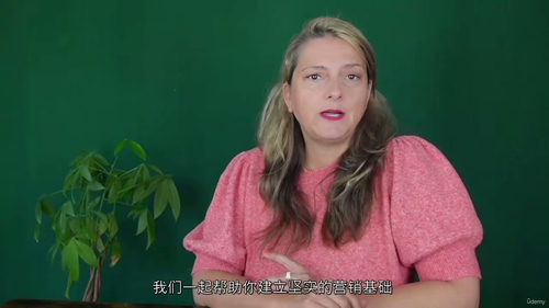 [中字] 营销基础：从目标受众到数字增长（中文字幕英文视频教