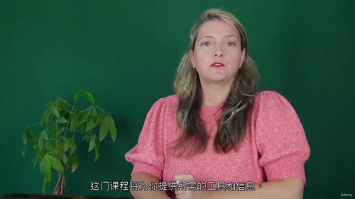 [中字] 营销基础：从目标受众到数字增长（中文字幕英文视频教