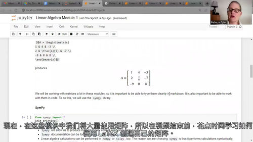 [中字] 机器学习线性代数：无数学基础入门（中文字幕英文视频