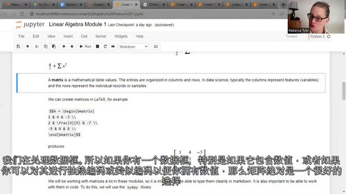 [中字] 机器学习线性代数：无数学基础入门（中文字幕英文视频