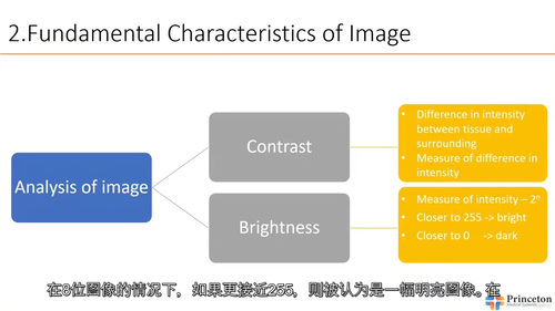 [中字] Python 医学影像处理入门（中文字幕英文视频教
