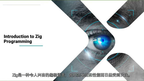 [中字] 精通 Zig：从基础到高级编程（中文字幕英文视频教
