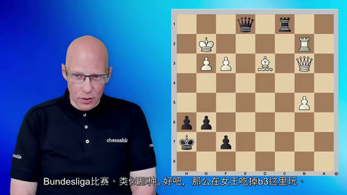 国际象棋杀法图谱完全指南 ——IM 克里斯托夫・西莱茨基权威