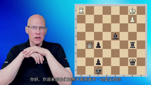 国际象棋杀法图谱完全指南 ——IM 克里斯托夫・西莱茨基权威