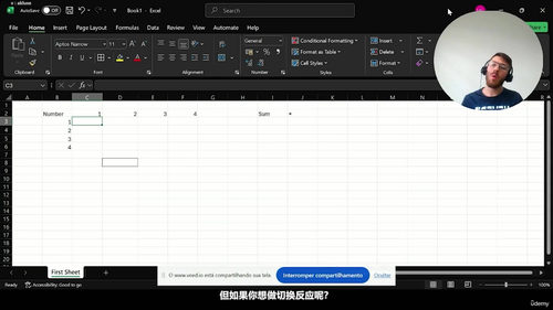 Excel从入门到精通:零基础到实战高手(英文课程中文字幕)