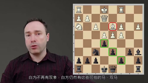国际象棋终身布局体系:尼姆佐与博戈-印度防御 (中文字幕英
