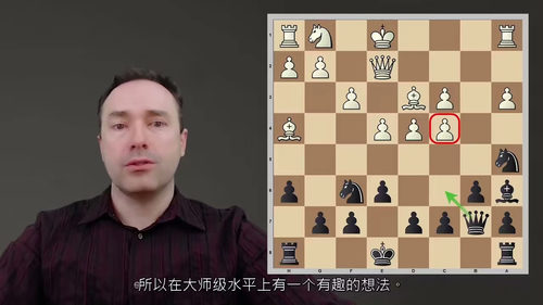 国际象棋终身布局体系:尼姆佐与博戈-印度防御 (中文字幕英