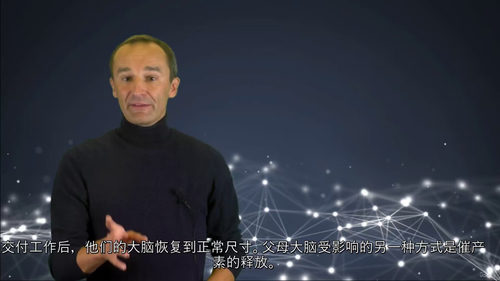 家长神经科学指南：养育优秀孩子的实用课程  (中文字幕英文视
