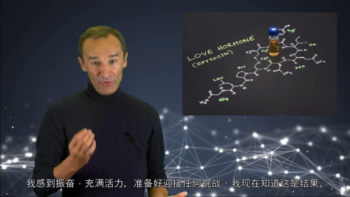 家长神经科学指南：养育优秀孩子的实用课程  (中文字幕英文视