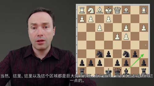 尼姆佐印度防御与波戈印度防御精讲 (英文视频中文外挂字幕教程
