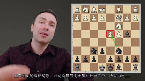 尼姆佐印度防御与波戈印度防御精讲 (英文视频中文外挂字幕教程