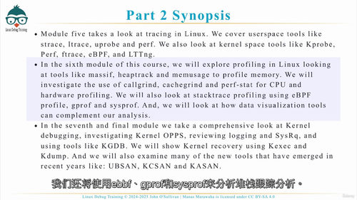Linux调试进阶追踪与性能分析