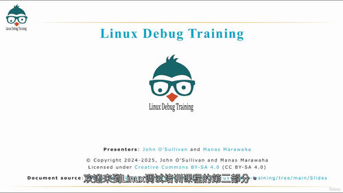 Linux调试进阶追踪与性能分析