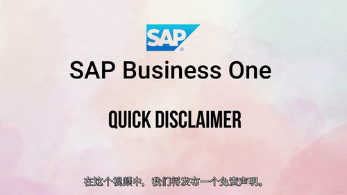 SAP Business One 2026全能实战大师班 (