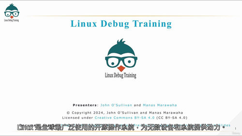 Linux调试实战训练(第一部分)