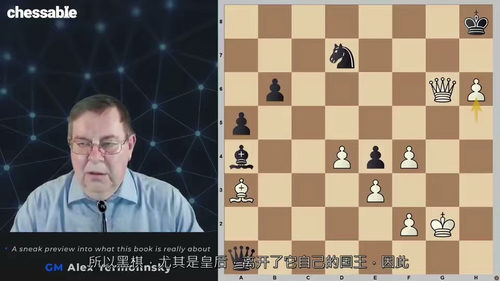 国际象棋进阶之道(中文字英文视频教程)