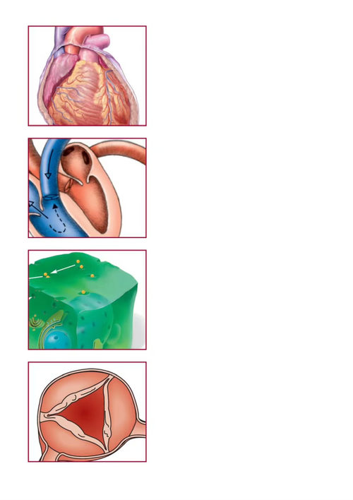 病理生理学轻松图解 Lippincott (中英对照电子书)