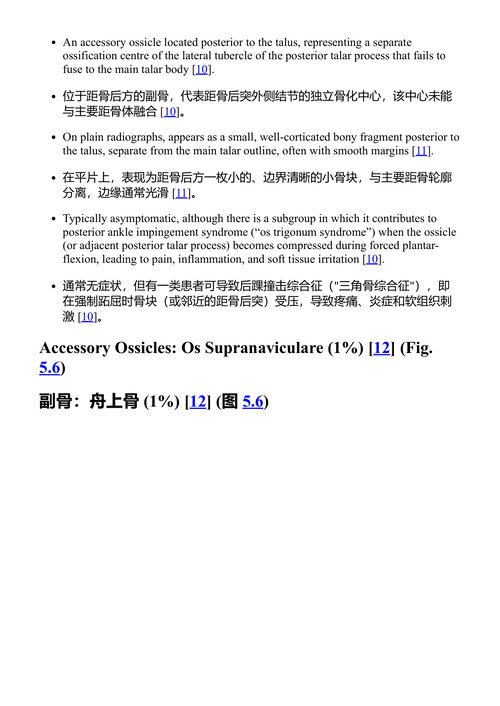 影像解剖变异：临床实践中的应用 (中英对照电子书)