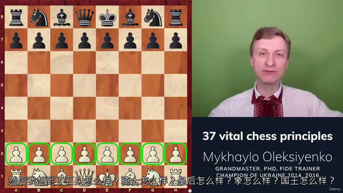 国际象棋37条核心法则 (中文字幕英文视频教程)