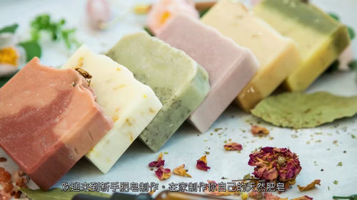 手工皂热熔灌注制作全攻略：从入门到创业变现  (中文字幕英文