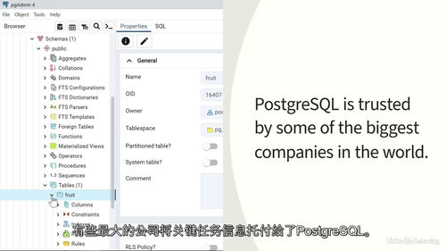 PostgreSQL 2025核心实战教程(中文字幕英文视频