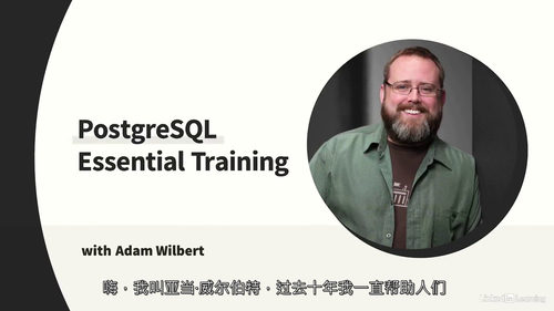 PostgreSQL 2025核心实战教程（中文字幕英文视频